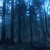 meatpuppet